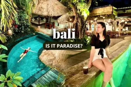 Koalabear Bali
