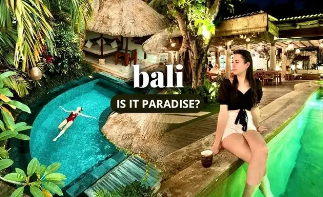 Koalabear Bali